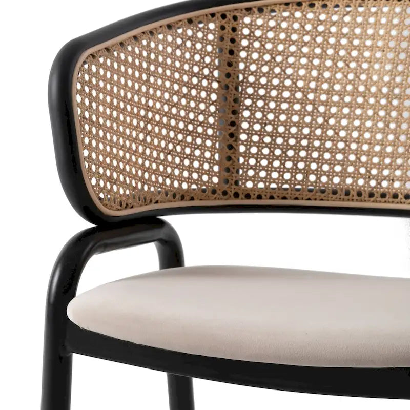 Chaise de salle à manger moderne à dossier en osier avec siège en velours rembourré, fauteuil pour salle à manger et cuisine, lot de 4 - 29.9